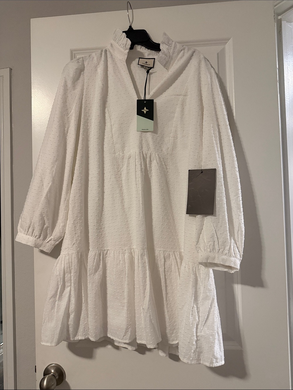Tuckernuck White Swiss Dot Long Sleeve Tiered Mini Dress